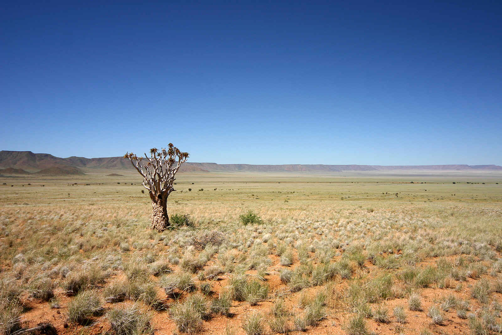 Canyon Lodge: Nama-Karoo-Wüste Canyon Lodge: Nama-Karoo-Wüste