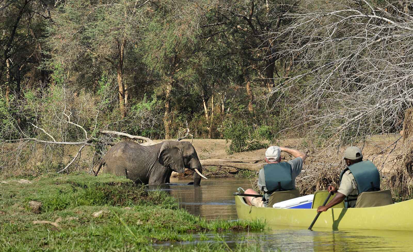 Old Mondoro Camp: Elefant und Kanuten Old Mondoro Camp: Elefant und Kanuten