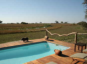Lebala Camp: Plunge Pool Lebala Camp: Plunge Pool