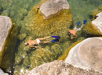 Mumbo Island Camp: Schnorcheln Mumbo Island Camp: Schnorcheln