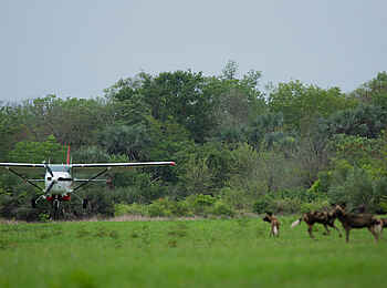 Muzimu Lodge: Flugzeug im Anflug Muzimu Lodge: Flugzeug im Anflug
