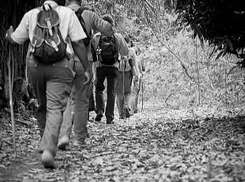 Greystoke Mahale: Buschwanderung Greystoke Mahale: Buschwanderung