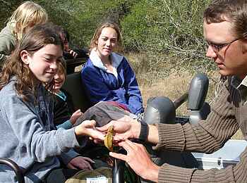 MalaMala Camp: Kinder auf einem Game Drive MalaMala Camp: Kinder auf einem Game Drive