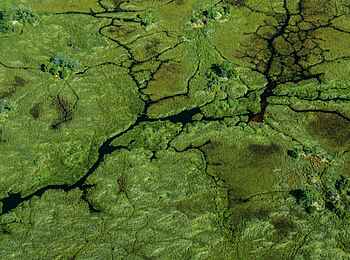 Sitatunga Private Island Camp: Das Delta Sitatunga Private Island Camp: Das Delta