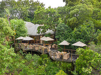 Tsala Treetop Lodge: Terrasse Tsala Treetop Lodge: Terrasse