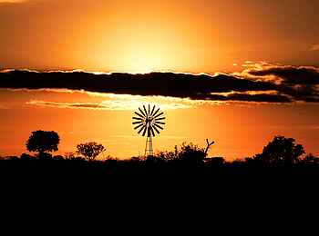 Camp Hwange: Windrad Camp Hwange: Windrad