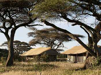 Ndutu Kati Kati Tented Camp: Rückansicht zweier Gästezelte Ndutu Kati Kati Tented Camp: Rückansicht zweier Gästezelte