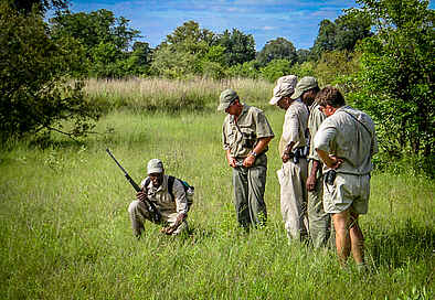 Okavango Guiding School: Fährtenlesen im Busch