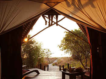 Greystoke Mahale Lodge: Ausblick Greystoke Mahale Lodge: Ausblick