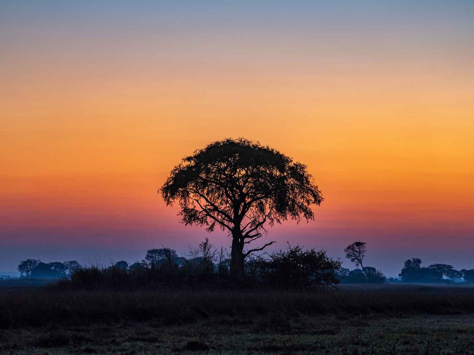 Chisa Busanga Camp: Farbenfroher Sonnenuntergang Chisa Busanga Camp: Farbenfroher Sonnenuntergang