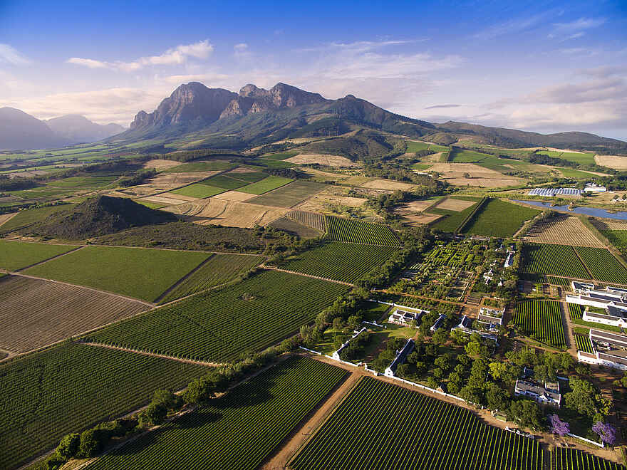 Babylonstoren: Vogelperspektive der Winelands Babylonstoren: Vogelperspektive der Winelands