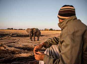 Camp Camp Hwange: Versteck am Wasserloch Camp Camp Hwange: Versteck am Wasserloch