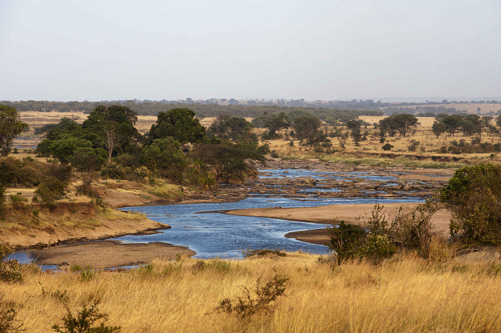 Lamai Serengeti: Grüne Landschaft Lamai Serengeti: Grüne Landschaft
