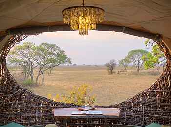 Chisa Busanga Camp: Ausblick aus dem Nest Chisa Busanga Camp: Ausblick aus dem Nest