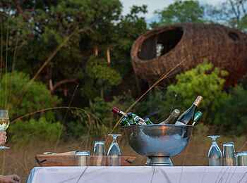 Chisa Busanga Camp: Sundowner Chisa Busanga Camp: Sundowner